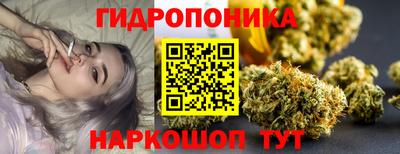 бошки Заводоуковск