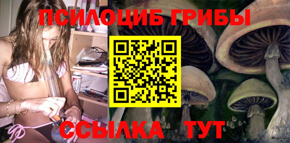 Псилоцибиновые грибы GOLDEN TEACHER  Псилоцибиновые грибы Psilocybine cubensis  Вход с VPN  Кудымкар 